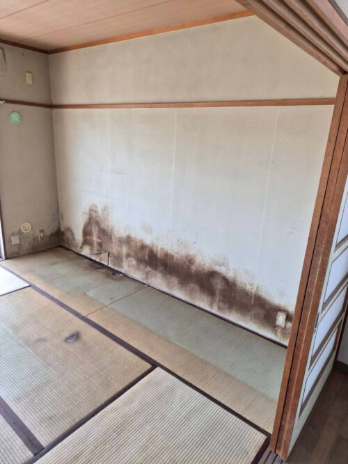 After画像